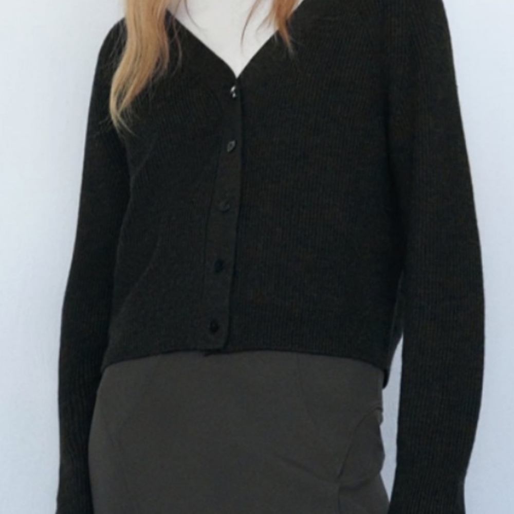 Large zara cardigan nwt